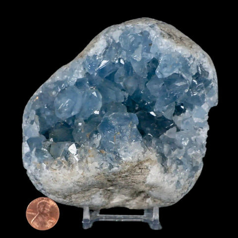 4.5" Sky Blue Rough Celestite Crystal Druzy Cluster Geode 3 LB 3.9 OZ Celestine - Fossil Age Minerals