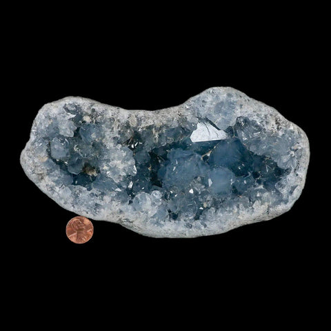 XL 8" Sky Blue Rough Celestite Crystal Druzy Cluster Geode 4 LB 7.8 OZ Celestine - Fossil Age Minerals