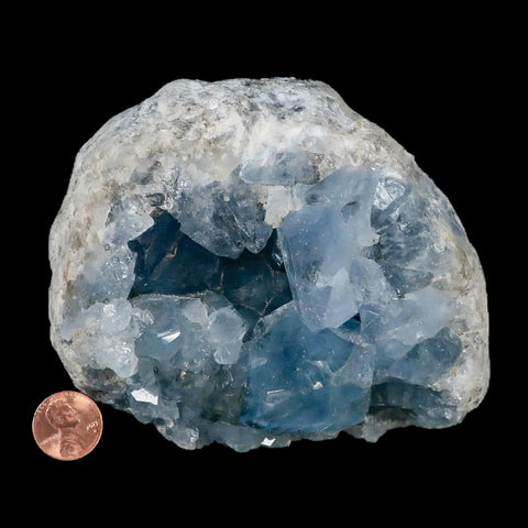 4.7" Sky Blue Rough Celestite Crystal Druzy Cluster Geode 4 LB 1.8 OZ Celestine - Fossil Age Minerals