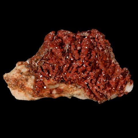 3.1" Sparkly Red Vanadinite Crystals Orange Barite Blades Mineral Mabladen Morocco - Fossil Age Minerals