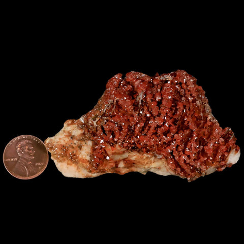 3.1" Sparkly Red Vanadinite Crystals Orange Barite Blades Mineral Mabladen Morocco - Fossil Age Minerals