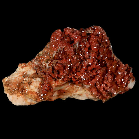 3.1" Sparkly Red Vanadinite Crystals Orange Barite Blades Mineral Mabladen Morocco - Fossil Age Minerals