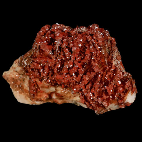 3.1" Sparkly Red Vanadinite Crystals Orange Barite Blades Mineral Mabladen Morocco - Fossil Age Minerals