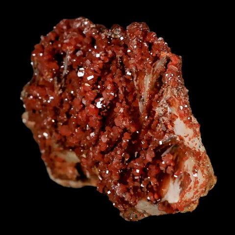 3.1" Sparkly Red Vanadinite Crystals Orange Barite Blades Mineral Mabladen Morocco - Fossil Age Minerals