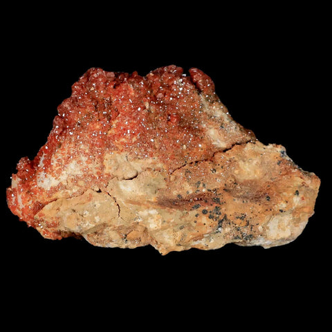 3.1" Sparkly Red Vanadinite Crystals Orange Barite Blades Mineral Mabladen Morocco - Fossil Age Minerals