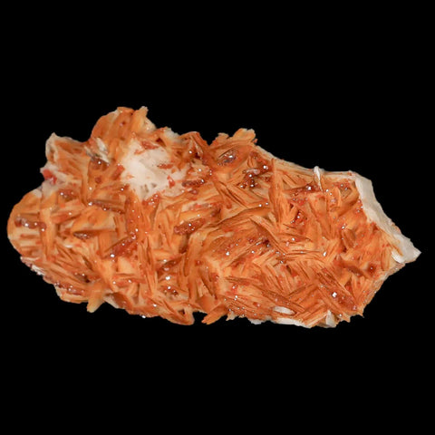 3.9" Sparkly Orange Vanadinite Crystals Orange Barite Blades Mineral Mabladen Morocco - Fossil Age Minerals