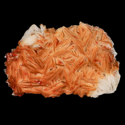 3.1" Sparkly Orange Vanadinite Crystals Orange Barite Blades Mineral Mabladen Morocco - Fossil Age Minerals