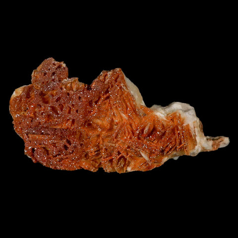 3.5" Sparkly Orange Vanadinite Crystals Orange Barite Blades Mineral Mabladen Morocco - Fossil Age Minerals