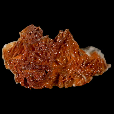 3.5" Sparkly Orange Vanadinite Crystals Orange Barite Blades Mineral Mabladen Morocco - Fossil Age Minerals