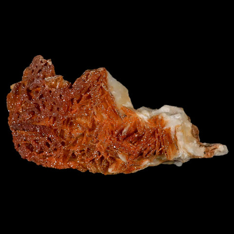 3.5" Sparkly Orange Vanadinite Crystals Orange Barite Blades Mineral Mabladen Morocco - Fossil Age Minerals