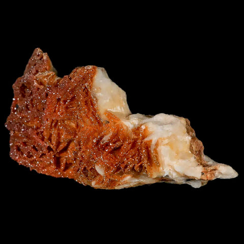 3.5" Sparkly Orange Vanadinite Crystals Orange Barite Blades Mineral Mabladen Morocco - Fossil Age Minerals