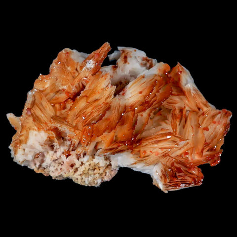 3.4" Sparkly Orange Vanadinite Crystals Orange Barite Blades Mineral Mabladen Morocco - Fossil Age Minerals