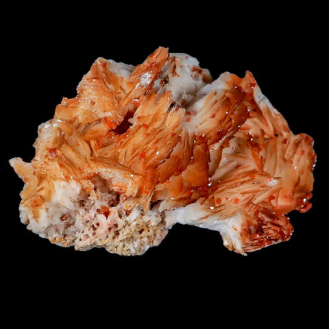 3.4" Sparkly Orange Vanadinite Crystals Orange Barite Blades Mineral Mabladen Morocco - Fossil Age Minerals