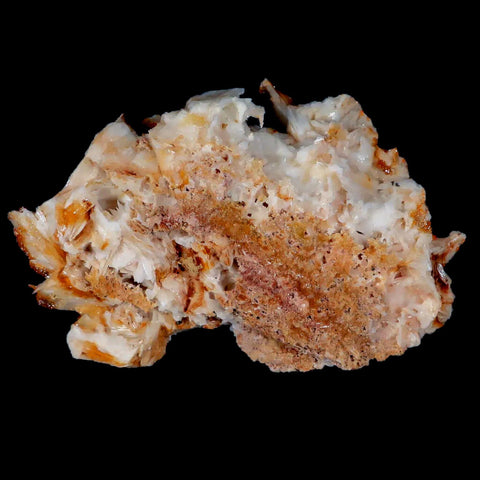 3.4" Sparkly Orange Vanadinite Crystals Orange Barite Blades Mineral Mabladen Morocco - Fossil Age Minerals