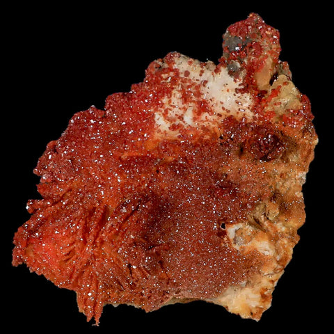 3.4" Sparkly Orange Vanadinite Crystals Orange Barite Blades Mineral Mabladen Morocco - Fossil Age Minerals