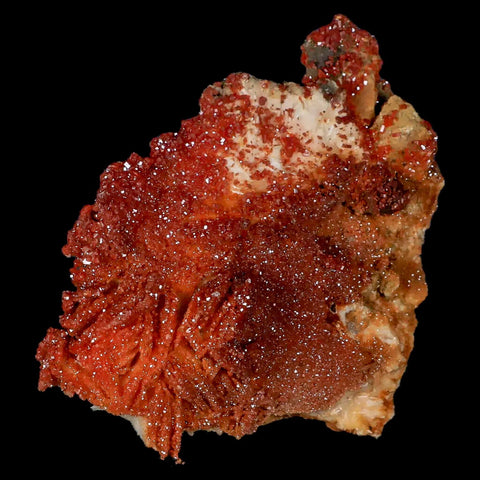 3.4" Sparkly Orange Vanadinite Crystals Orange Barite Blades Mineral Mabladen Morocco - Fossil Age Minerals