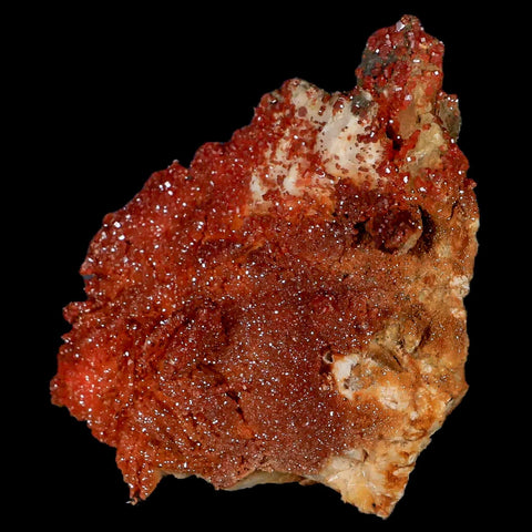 3.4" Sparkly Orange Vanadinite Crystals Orange Barite Blades Mineral Mabladen Morocco - Fossil Age Minerals