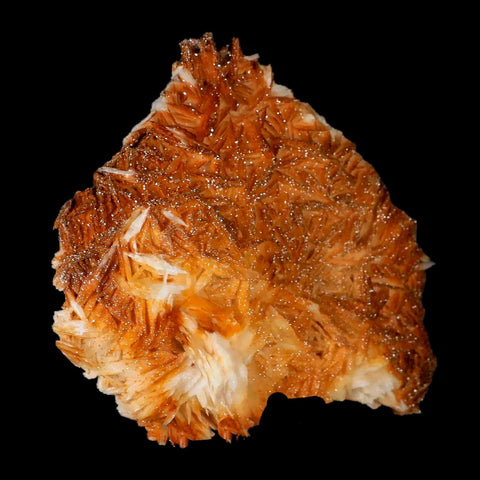 4.5" Sparkly Orange Vanadinite Crystals Orange Barite Blades Mineral Mabladen Morocco - Fossil Age Minerals