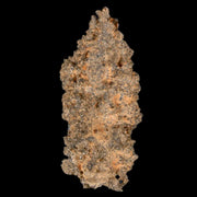 1.7" Fulgurite Petrified Lighting Strike Glass Sahara Desert Algeria