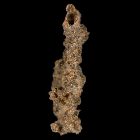 1.7" Fulgurite Petrified Lighting Strike Glass Sahara Desert Algeria