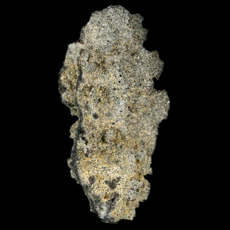 2.1" Fulgurite Petrified Lighting Strike Glass Sahara Desert Algeria