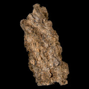 1.9" Fulgurite Petrified Lighting Strike Glass Sahara Desert Algeria