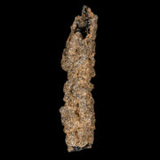 2" Fulgurite Petrified Lighting Strike Glass Sahara Desert Algeria