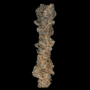 3.7" Fulgurite Petrified Lighting Strike Glass Sahara Desert Algeria