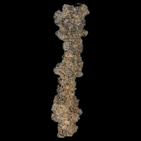 3.7" Fulgurite Petrified Lighting Strike Glass Sahara Desert Algeria