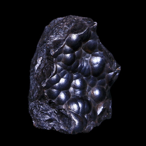 1.9" Hematite Botryoidal Kidney Ore Rock Mineral Specimen Irhoud Mine, Morocco - Fossil Age Minerals