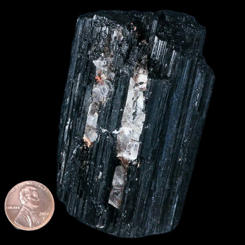 3.4" Natural Rough Black Tourmaline Mineral Crystal Specimen Schorl Brazil - Fossil Age Minerals