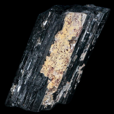 3.1" Natural Rough Black Tourmaline Mineral Crystal Specimen Schorl Brazil - Fossil Age Minerals