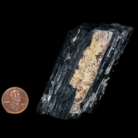 3.1" Natural Rough Black Tourmaline Mineral Crystal Specimen Schorl Brazil - Fossil Age Minerals