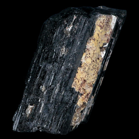 3.1" Natural Rough Black Tourmaline Mineral Crystal Specimen Schorl Brazil - Fossil Age Minerals