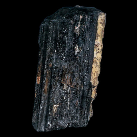 3.1" Natural Rough Black Tourmaline Mineral Crystal Specimen Schorl Brazil - Fossil Age Minerals