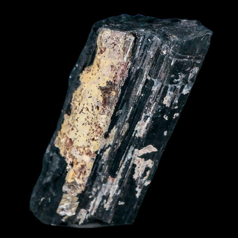 3.1" Natural Rough Black Tourmaline Mineral Crystal Specimen Schorl Brazil - Fossil Age Minerals