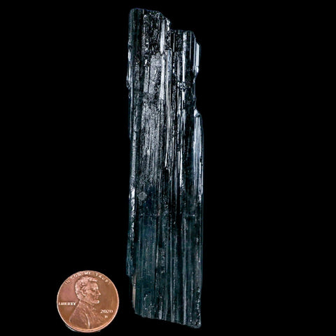 3.6" Natural Rough Black Tourmaline Mineral Crystal Specimen Schorl Brazil - Fossil Age Minerals