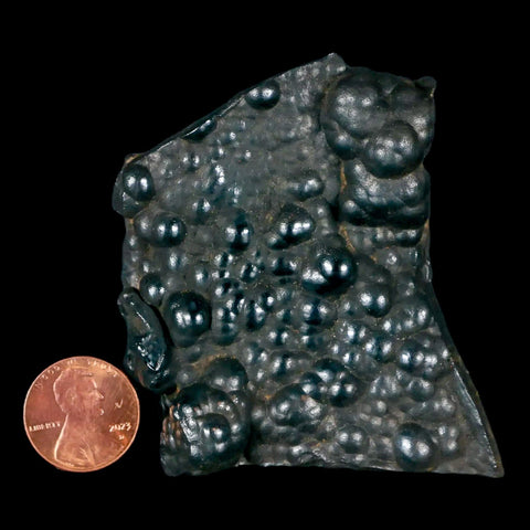 2.8" Hematite Botryoidal Kidney Ore Rock Mineral Specimen Irhoud Mine, Morocco - Fossil Age Minerals