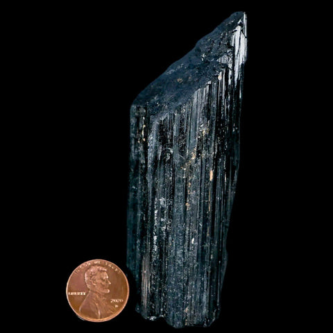 3.6" Natural Rough Black Tourmaline Mineral Crystal Specimen Schorl Brazil - Fossil Age Minerals