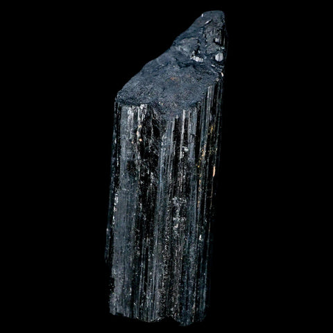 3.6" Natural Rough Black Tourmaline Mineral Crystal Specimen Schorl Brazil - Fossil Age Minerals