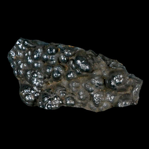 3.2" Hematite Botryoidal Kidney Ore Rock Mineral Specimen Irhoud Mine, Morocco - Fossil Age Minerals