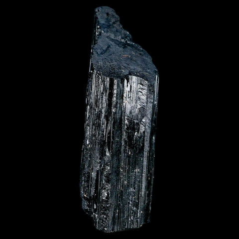 3.6" Natural Rough Black Tourmaline Mineral Crystal Specimen Schorl Brazil - Fossil Age Minerals