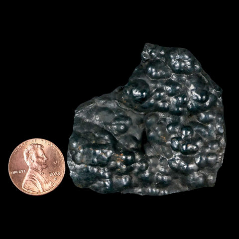 2.1" Hematite Botryoidal Kidney Ore Rock Mineral Specimen Irhoud Mine, Morocco - Fossil Age Minerals