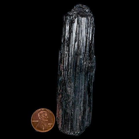 3.9" Natural Rough Black Tourmaline Mineral Crystal Specimen Schorl Brazil - Fossil Age Minerals