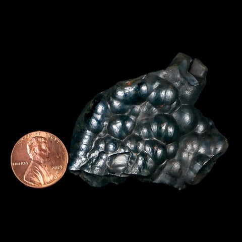 2" Hematite Botryoidal Kidney Ore Rock Mineral Specimen Irhoud Mine, Morocco - Fossil Age Minerals