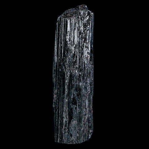 3.9" Natural Rough Black Tourmaline Mineral Crystal Specimen Schorl Brazil - Fossil Age Minerals