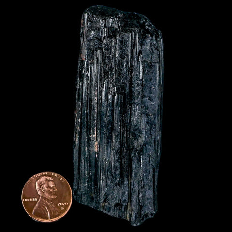 3" Natural Rough Black Tourmaline Mineral Crystal Specimen Schorl Brazil - Fossil Age Minerals