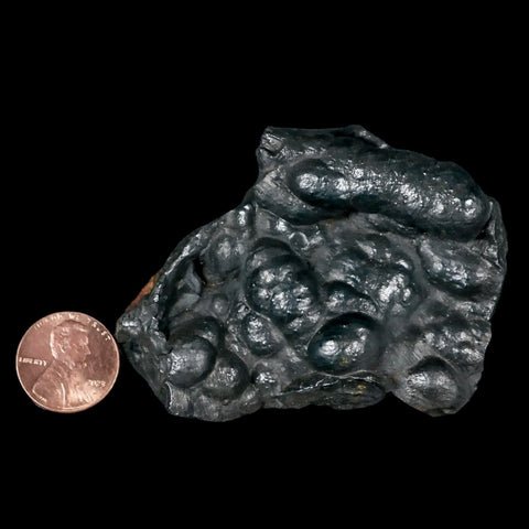 2.7" Hematite Botryoidal Kidney Ore Rock Mineral Specimen Irhoud Mine, Morocco - Fossil Age Minerals