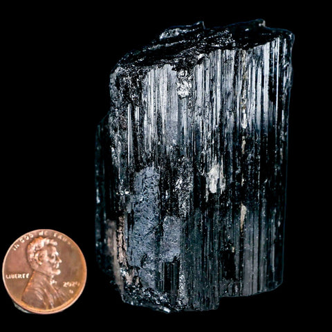 2.5" Natural Rough Black Tourmaline Mineral Crystal Specimen Schorl Brazil - Fossil Age Minerals