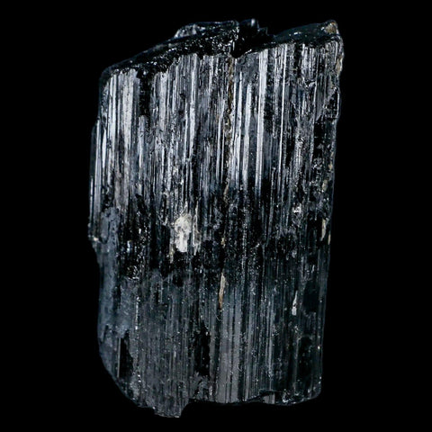 2.5" Natural Rough Black Tourmaline Mineral Crystal Specimen Schorl Brazil - Fossil Age Minerals